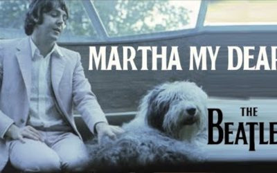 «Martha, my dear» la canción de amor de Paul McCartney a su Bobtail