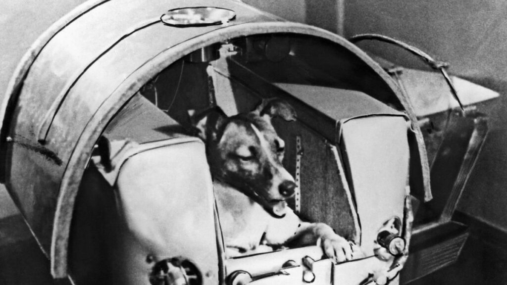 Laika astronauta